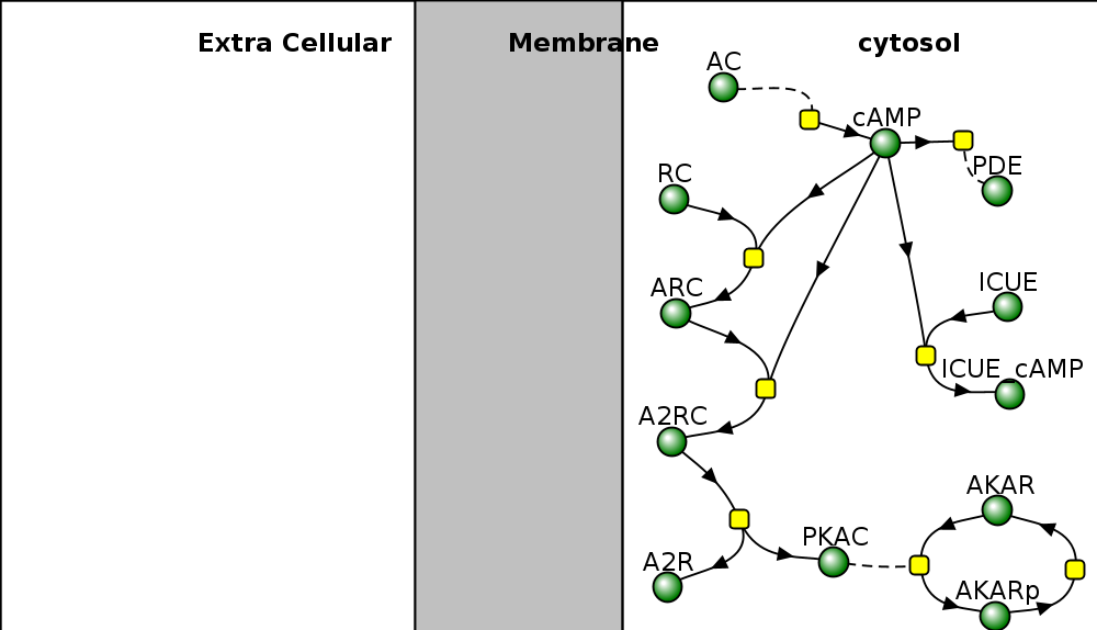 reactionDiagram